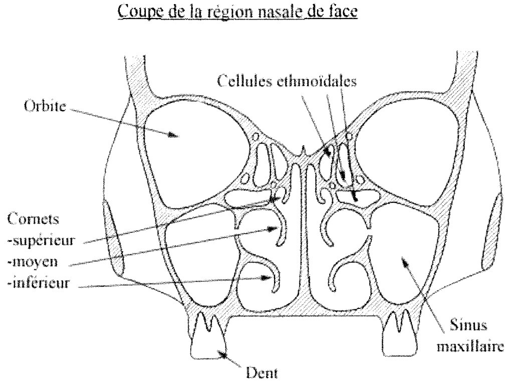 2.4 Les AIMAFormation